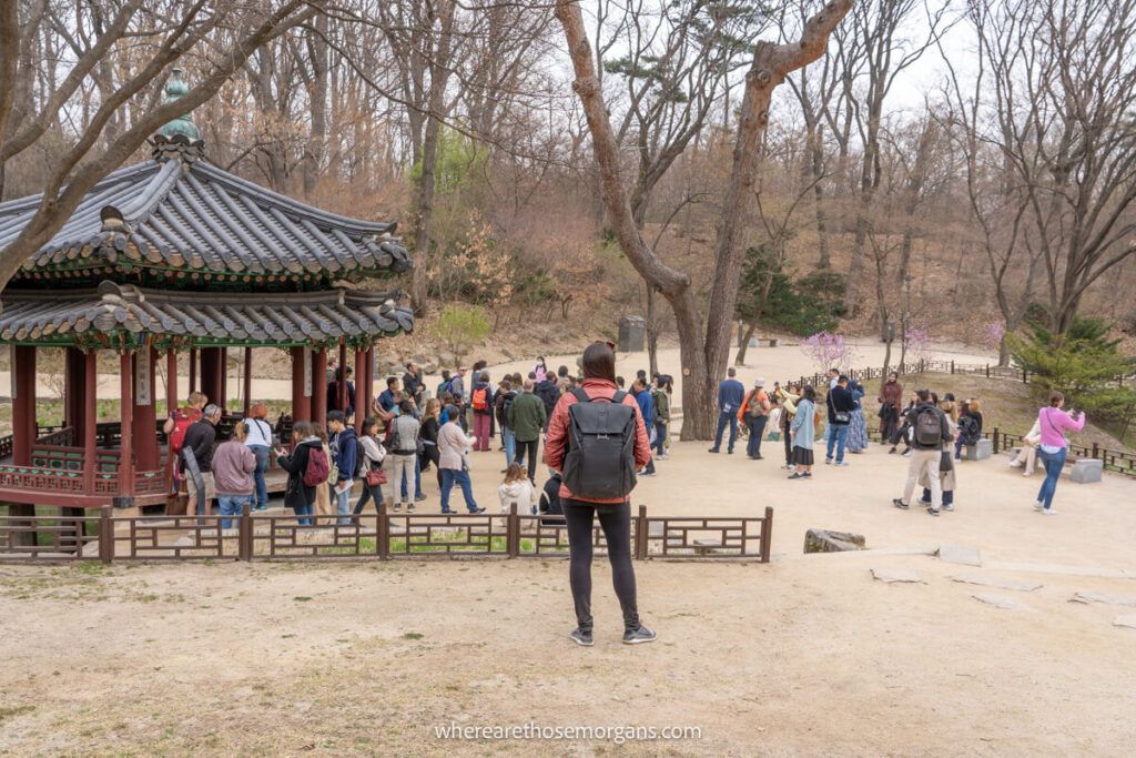Tourists on a guide tour inside the Secret Garden in Seoul