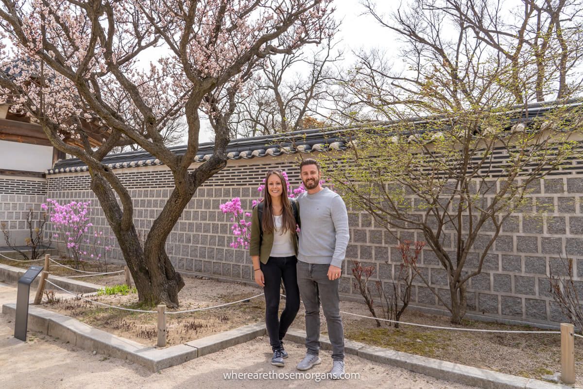 Two tourists posing for a photo near a cherry blossom tree at a royal palace in Seoul