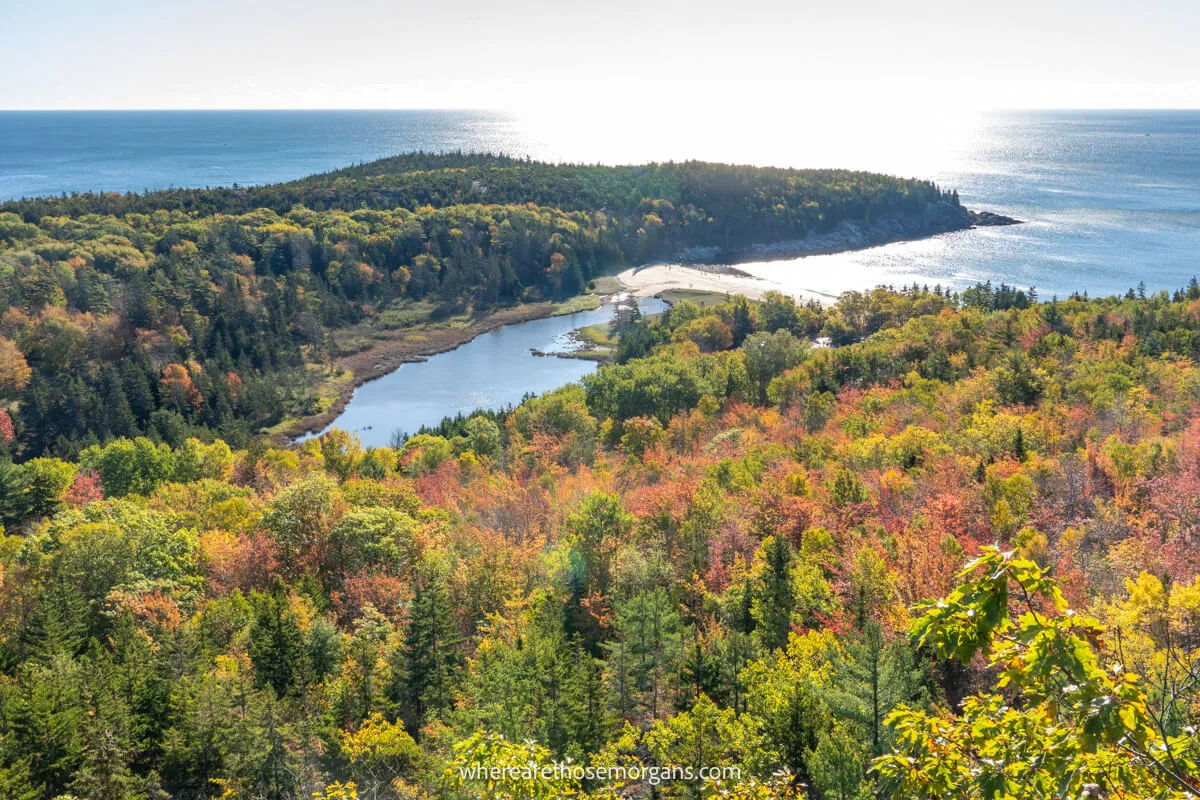 Far reaching views over fall foliage leaves in trees, a cove and a beach on a sunny morning in Maine