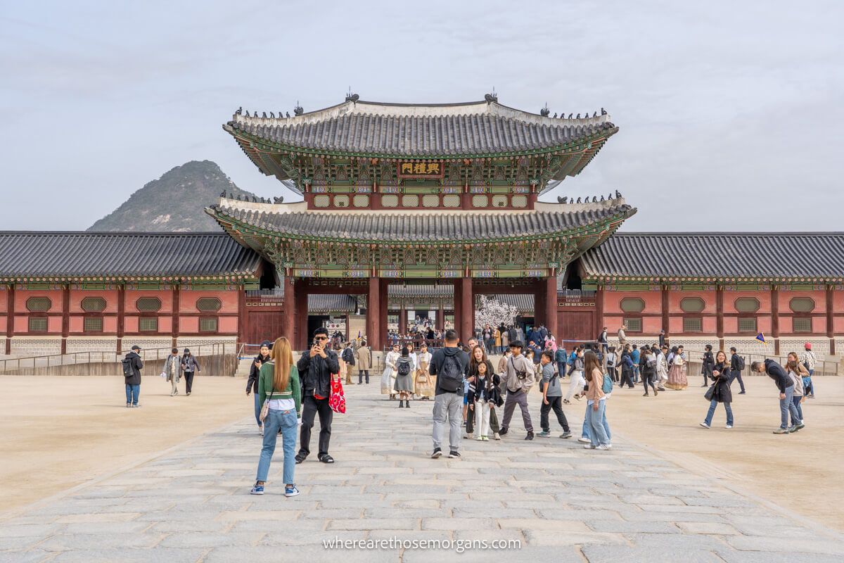 Many visitors taking photos and selfies in front of Gyeongbokgung Palace