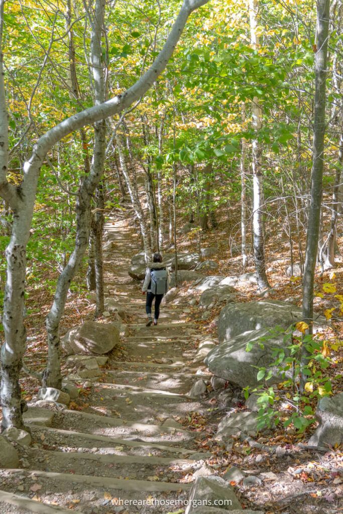 Woman walking through a wooded section of hiking trails in Acadia