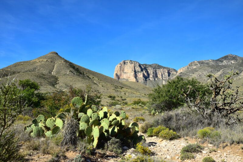 Hiking Guadalupe Peak in Big Bend National Park TX blue sky cactus