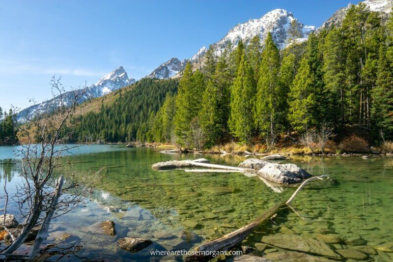 Clear lake with trees and mountains in Wyoming
