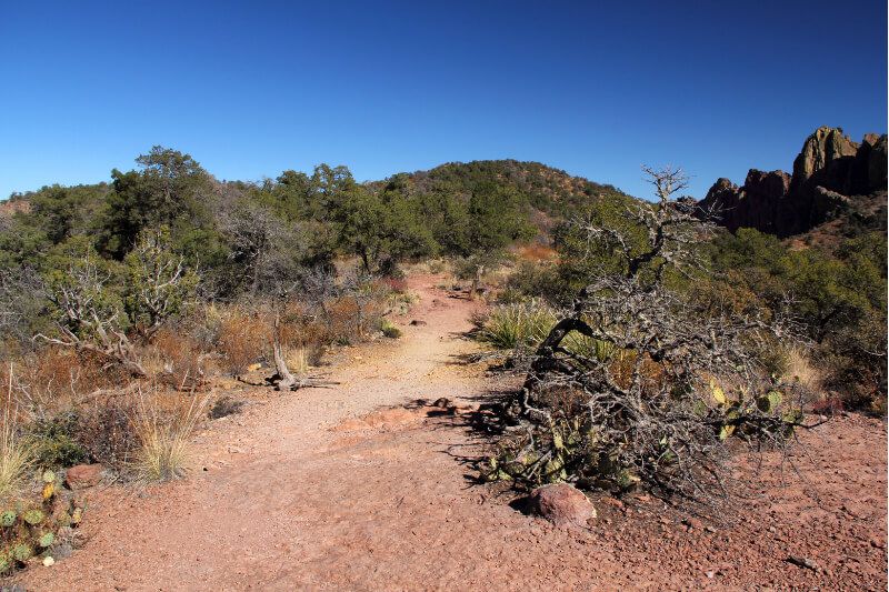 Dusty path with desert vegetation in Big Bend National Park Texas
