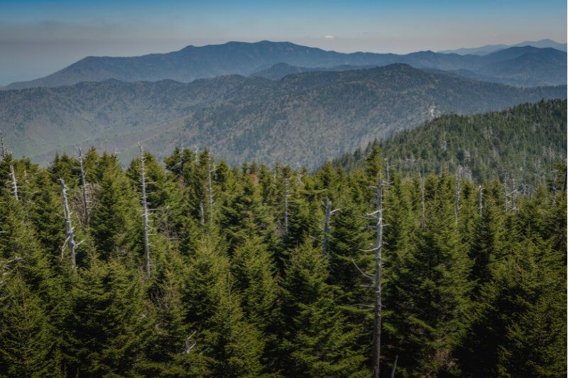 Mount Leconte in Great Smoky Mountain National Park TN rolling hills filled with green trees and hazy misty clouds