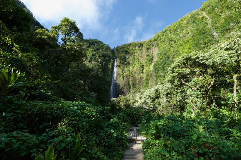 Waimoku Falls Hawaii thin wispy waterfall surrounded by lush green vegetation