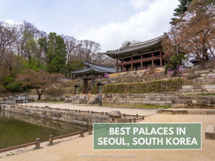 One of the best palaces in Seoul, South Korea Where Are Those Morgans