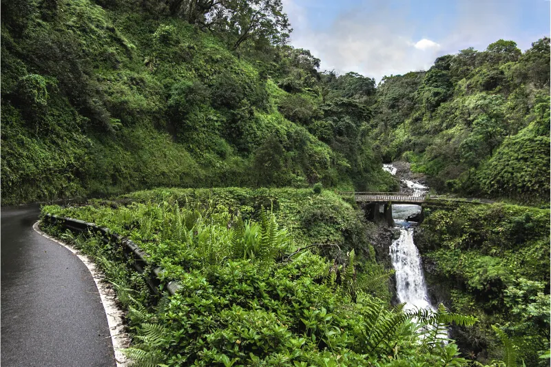 Road to Hana in Hawaii lush green trees with curving road and waterfall