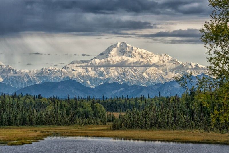 Denali in Alaska tallest mountain in the USA stunning wild national park with river fields trees and snow capped mountain
