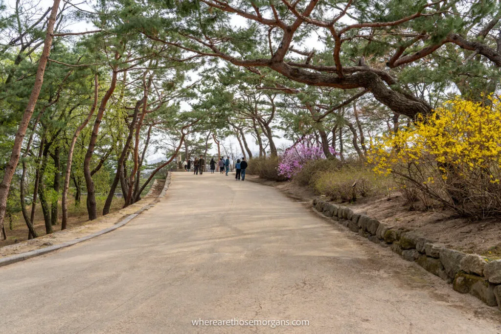 A large walking path through Chundangji Pond