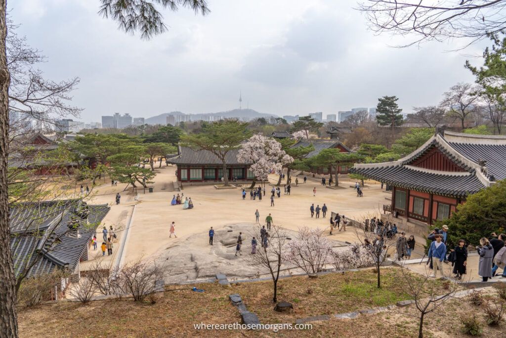 Numerous buildings inside Changgyeonggung Palace with Namsan Seoul Tower in the distance