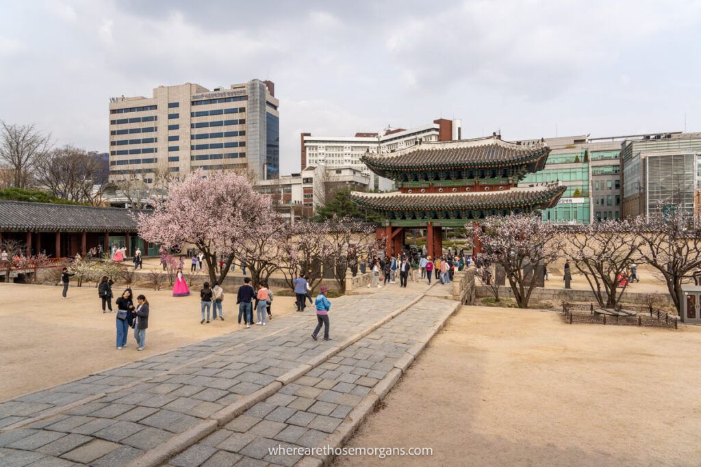 Honghwamun Gate at Changgyeonggung Palace