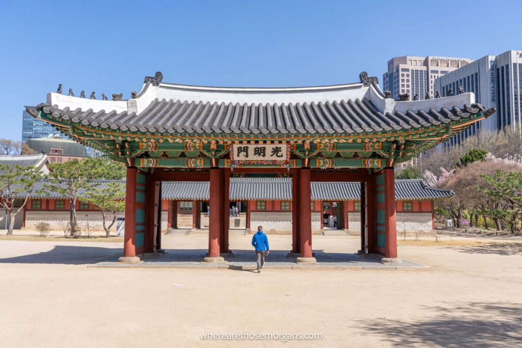 Man walking through Junghwamun Gate at Deoksugung with Seoul buildings in the distance