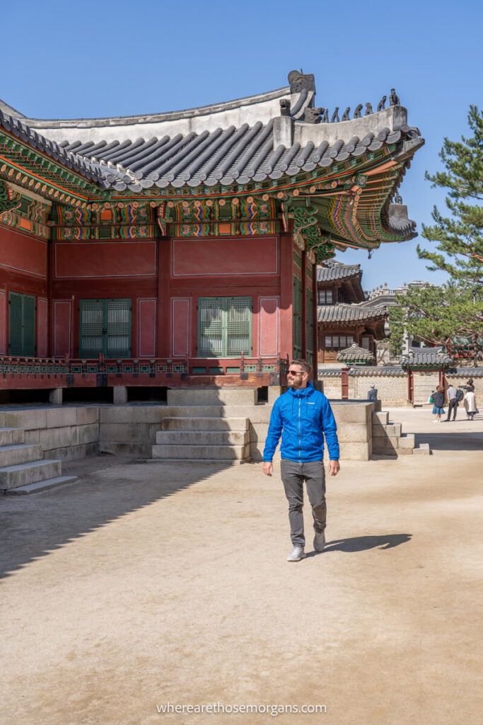 Man admiring the intricate buildings of a Seoul palace