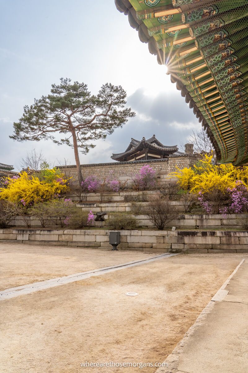 A sun on the roof of a palace in Seoul with vibrant colors in the background