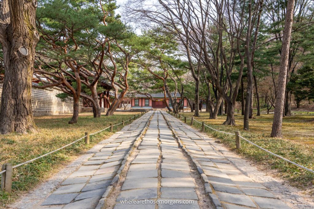 Stone pathway with numerous trees leading to a building