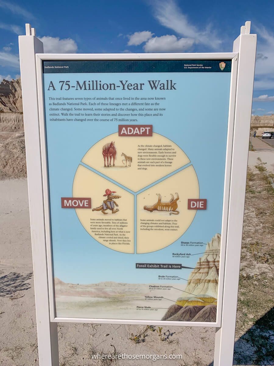 Information board lit up by the sun on a clear day explaining ancient fossils discovered in South Dakota