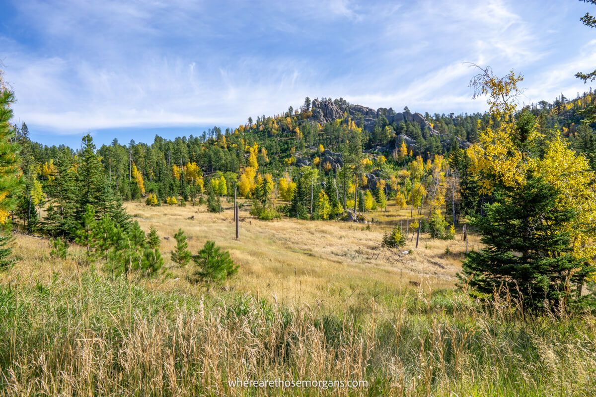 Peaceful meadow with trees and rolling hills covered in green and yellow leaves on a sunny day