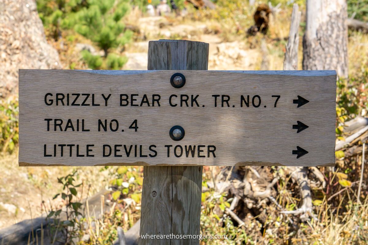 Wooden sign showing trail routes in a forest