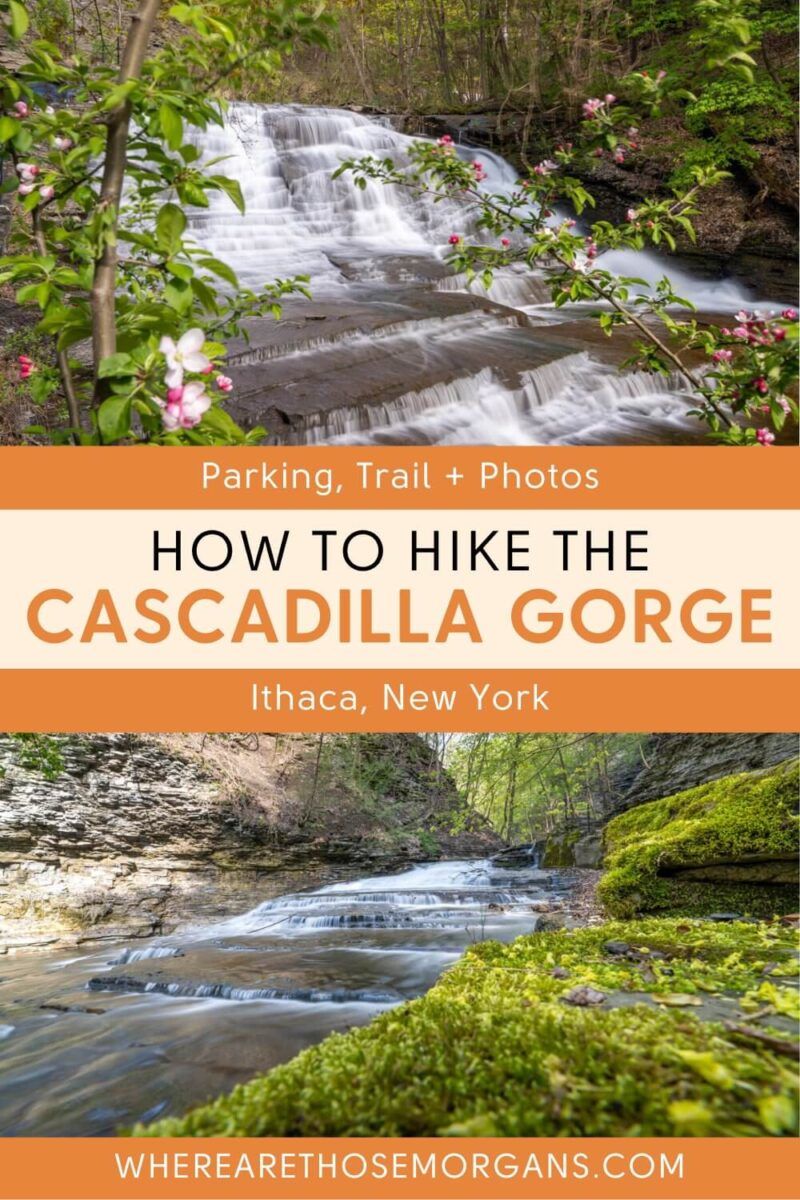 How To Hike The Cascadilla Gorge Trail In Ithaca NY