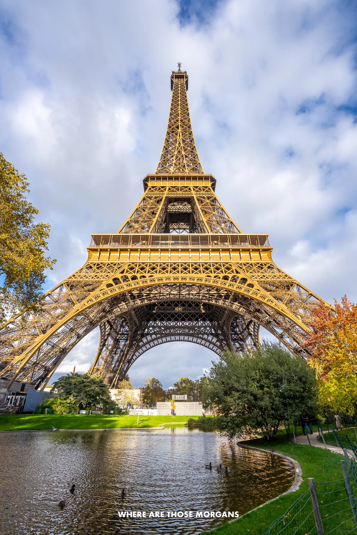 View of the Eiffel Tower from inside the gardens with a pond and grassy walkway