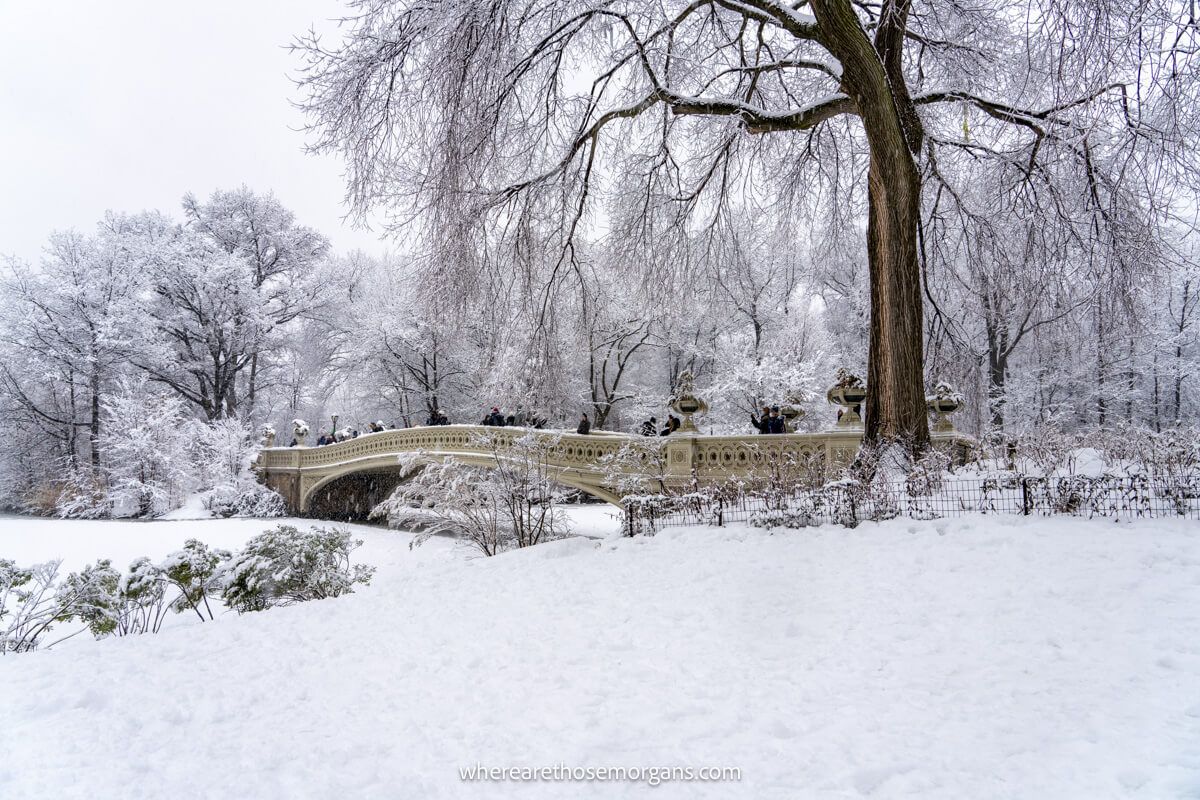 Small ornate bridge next to a bare tree with snow on the ground in Central Park one of the top NYC photo spots