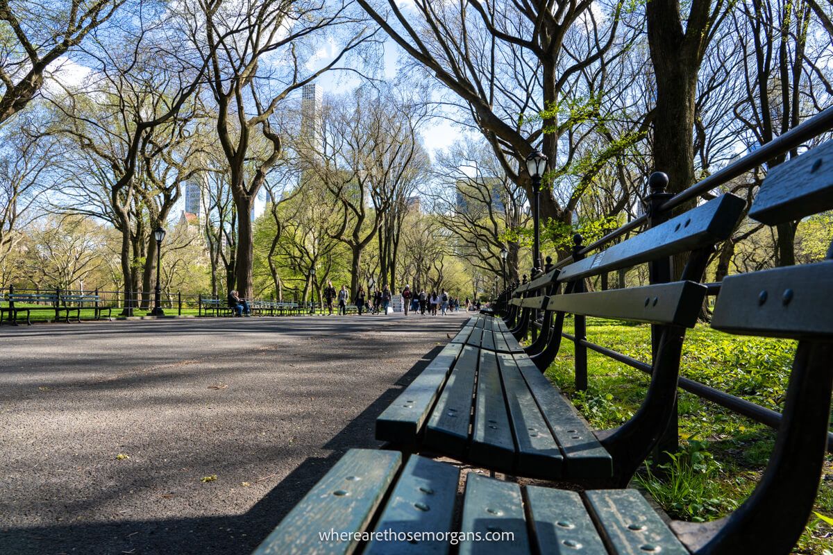 Long bench next to a walkway surrounded by trees and grass