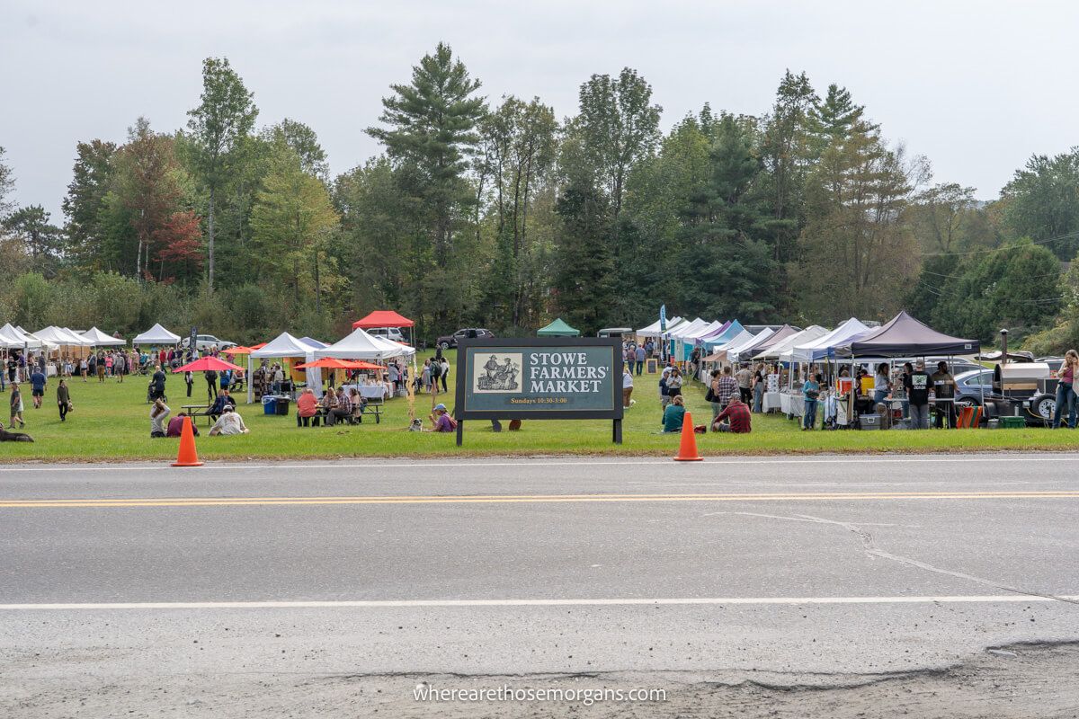 Numerous visitors enjoying the Stowe Farmers Market on Sunday
