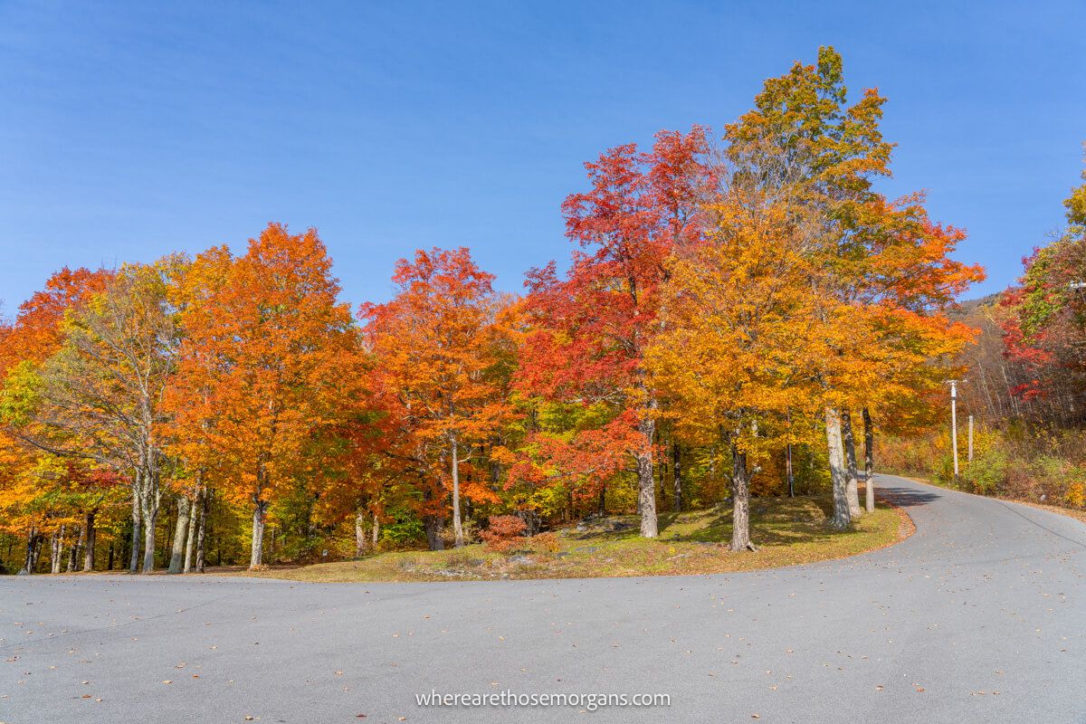 Red, yellow and orange trees along the side of a road in Manchester, Vermont