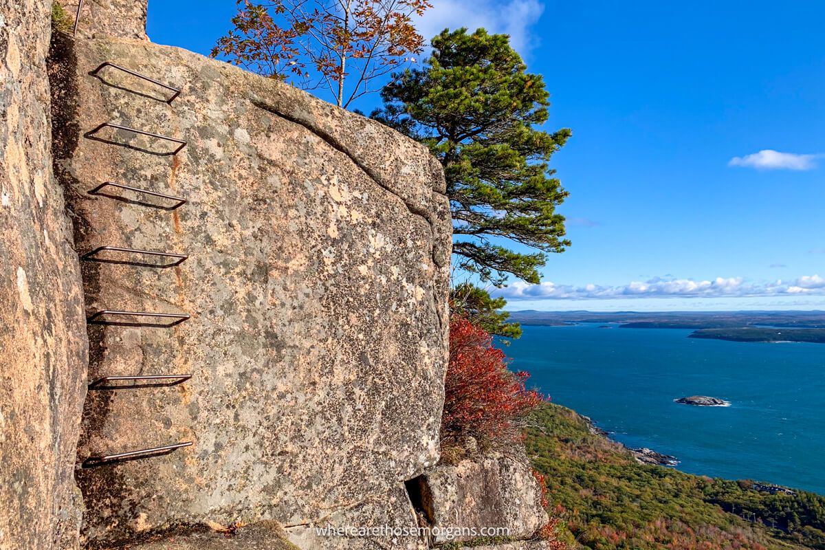 Metal ladder built into a tall rock with a steep drop to one side overlooking the ocean