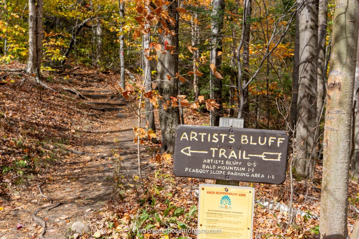 Wooden sign marker for Artists Bluff Trail in NH leading into a forest with lots of colorful leaves on the ground