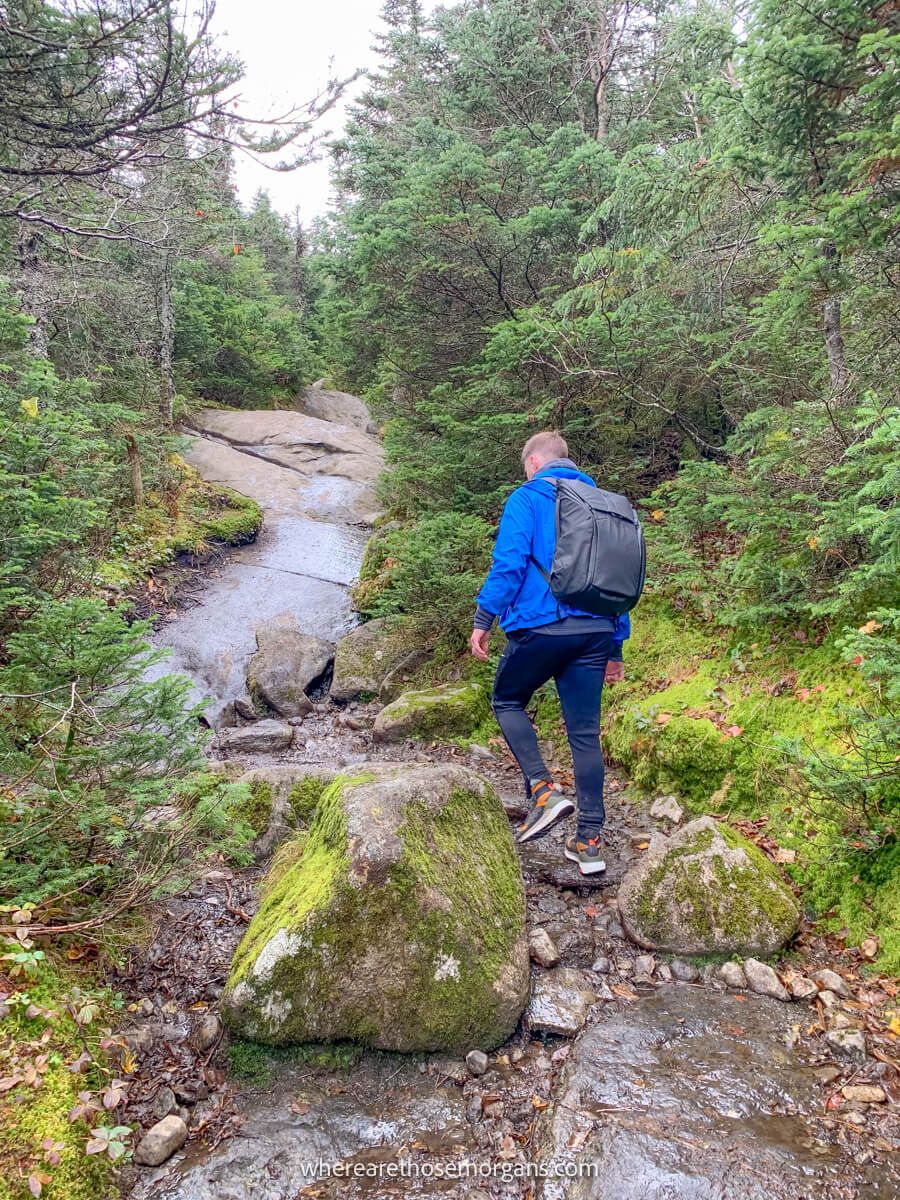 Hiker in blue coat walking along a rocky path through vegetation on a cool but bright day on the Mt Marcy hike in New York