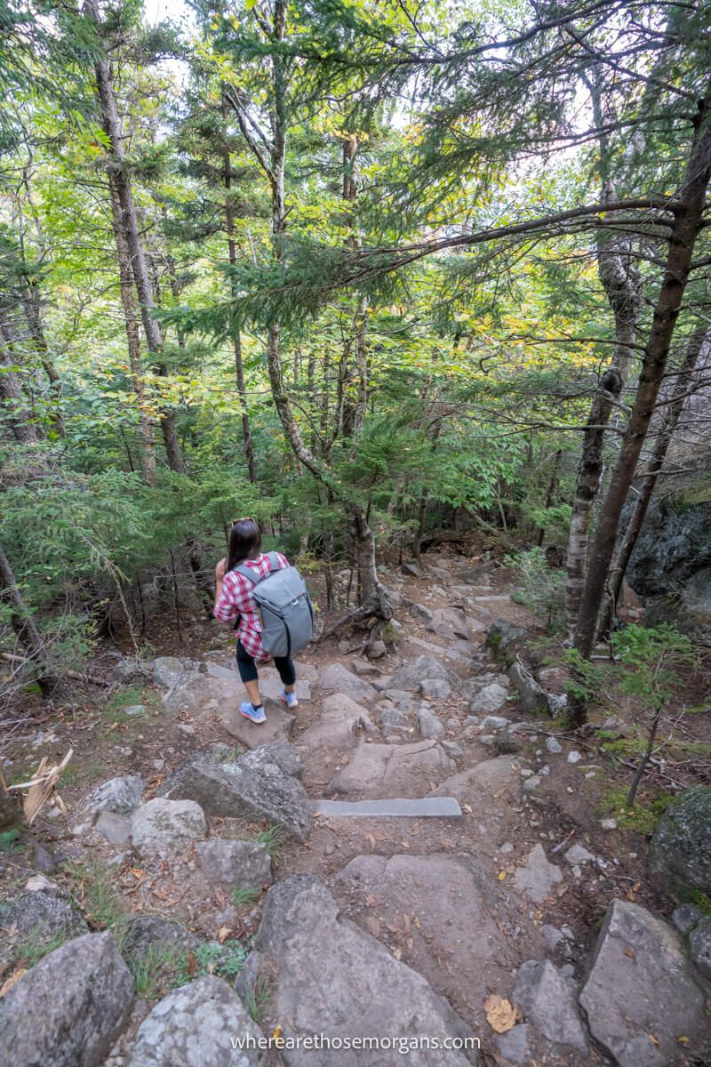 Hiker walking down a steep trail with rocky steps into a forest