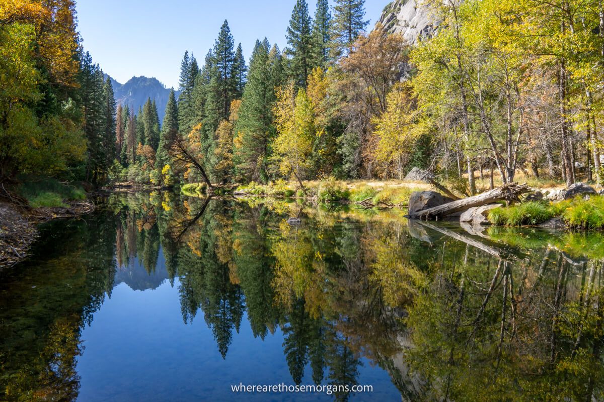 Trees with colorful leaves reflecting in the Merced River in Yosemite in October