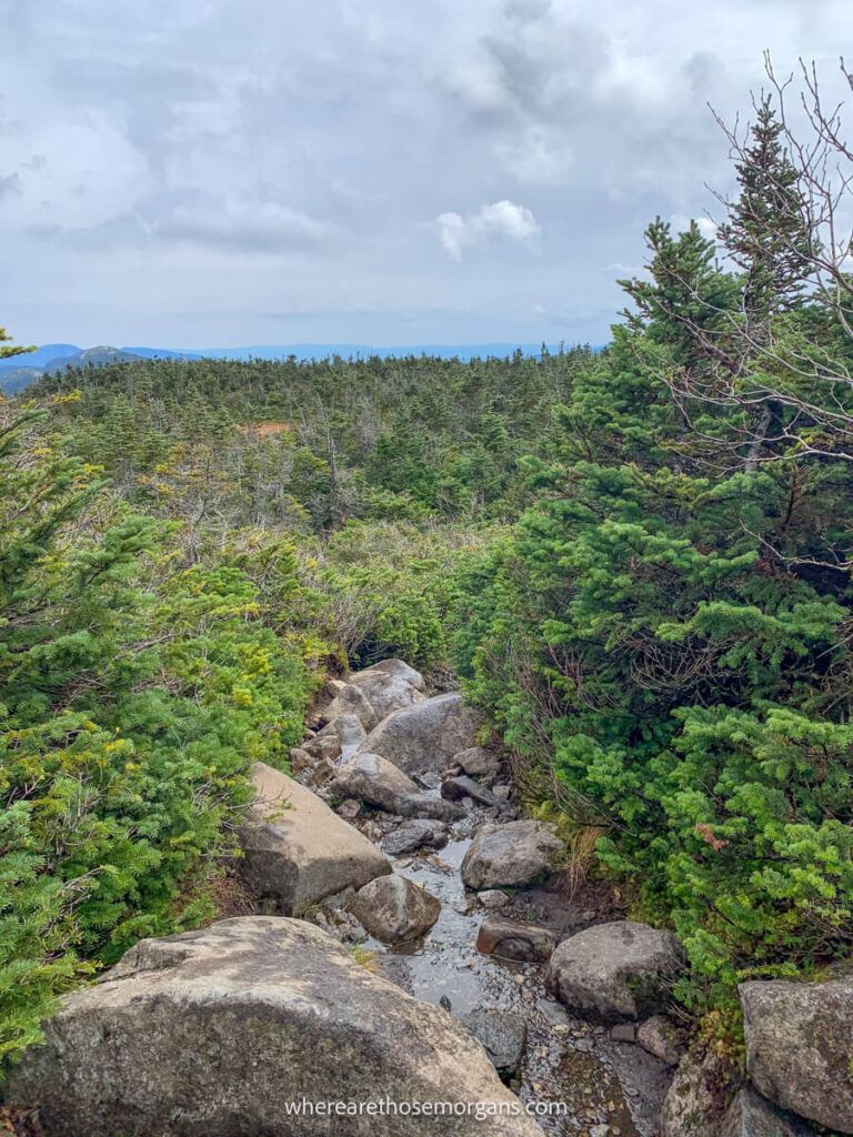 How To Hike Mount Marcy Via Van Hoevenberg Trail