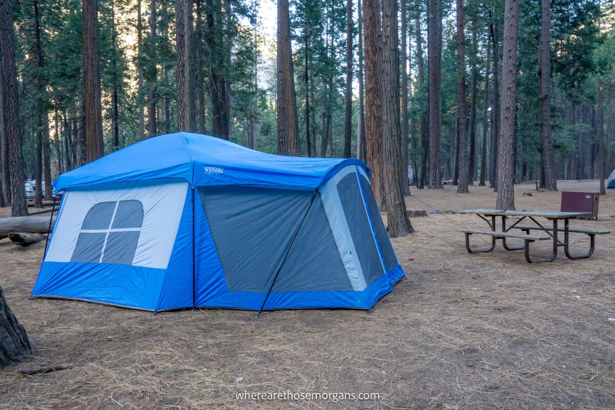 Large blue tent in a forest surrounded by tall and narrow trees next to a bench