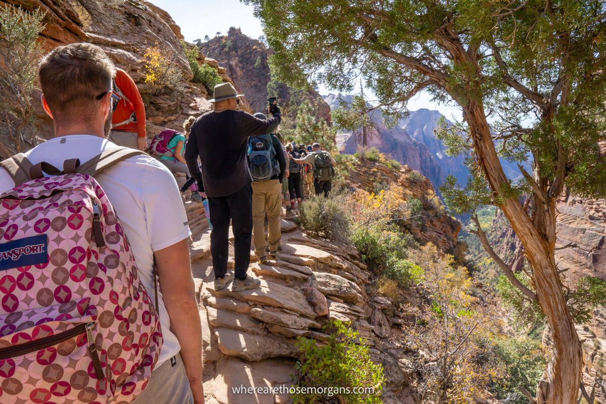 Line of hikers on a narrow rocky ledge holding a metal chain for support next to a tree and more rocks on a sunny day