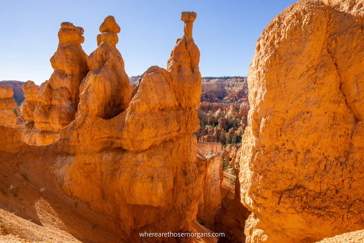Oddly shaped sandstone spires bursting into the sky from a sandstone amphitheater on the Queens Garden Navajo Loop hike in Utah