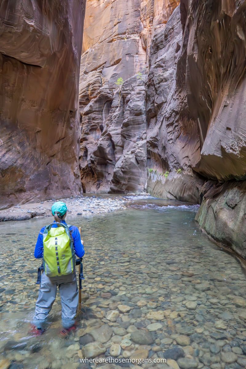 Hiker in waterproof pants and backpack, baseball cap and wooden pole wading knee deep through a river slot canyon