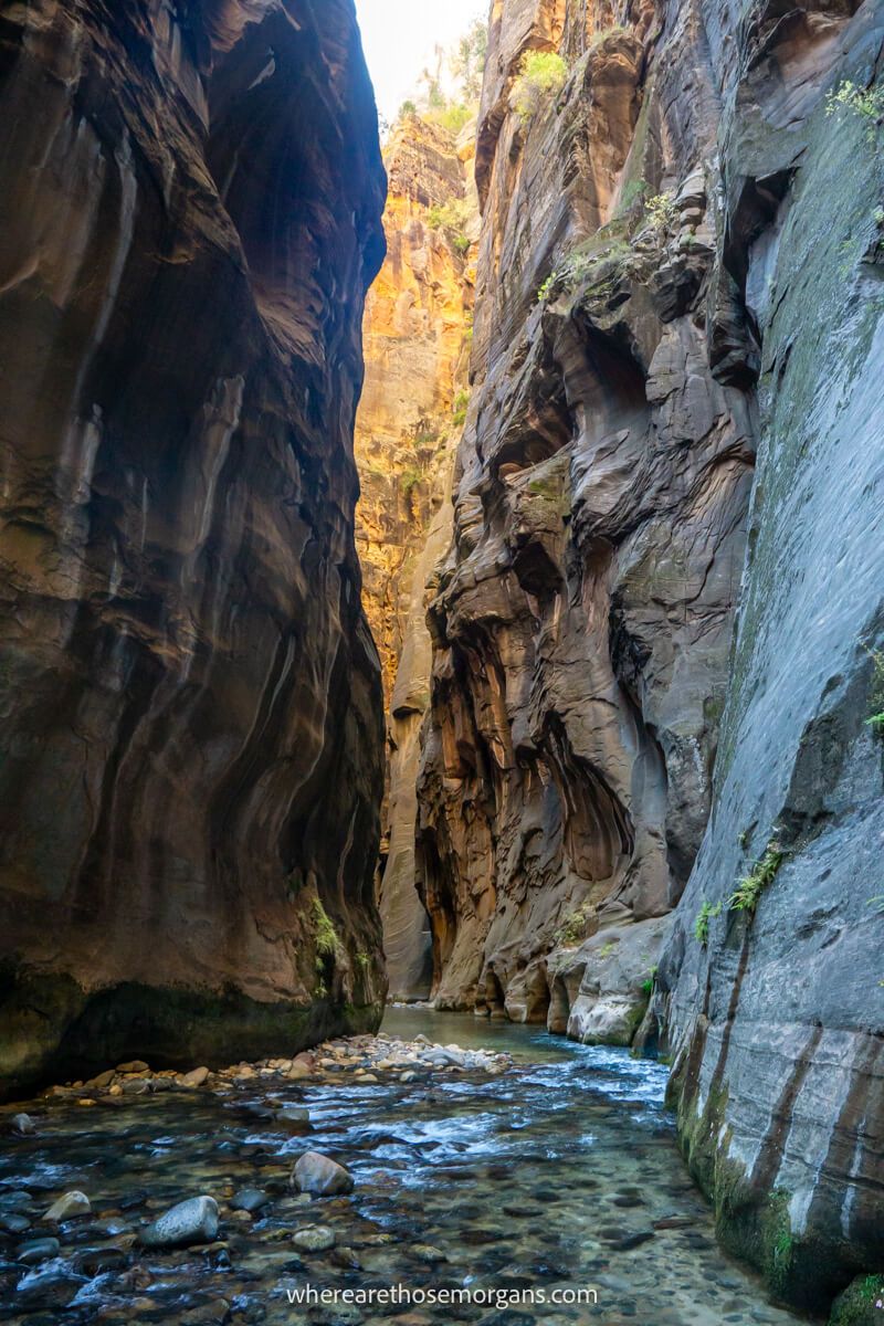 Tall slot canyon walls close together with a river running through and light streaming in through the top