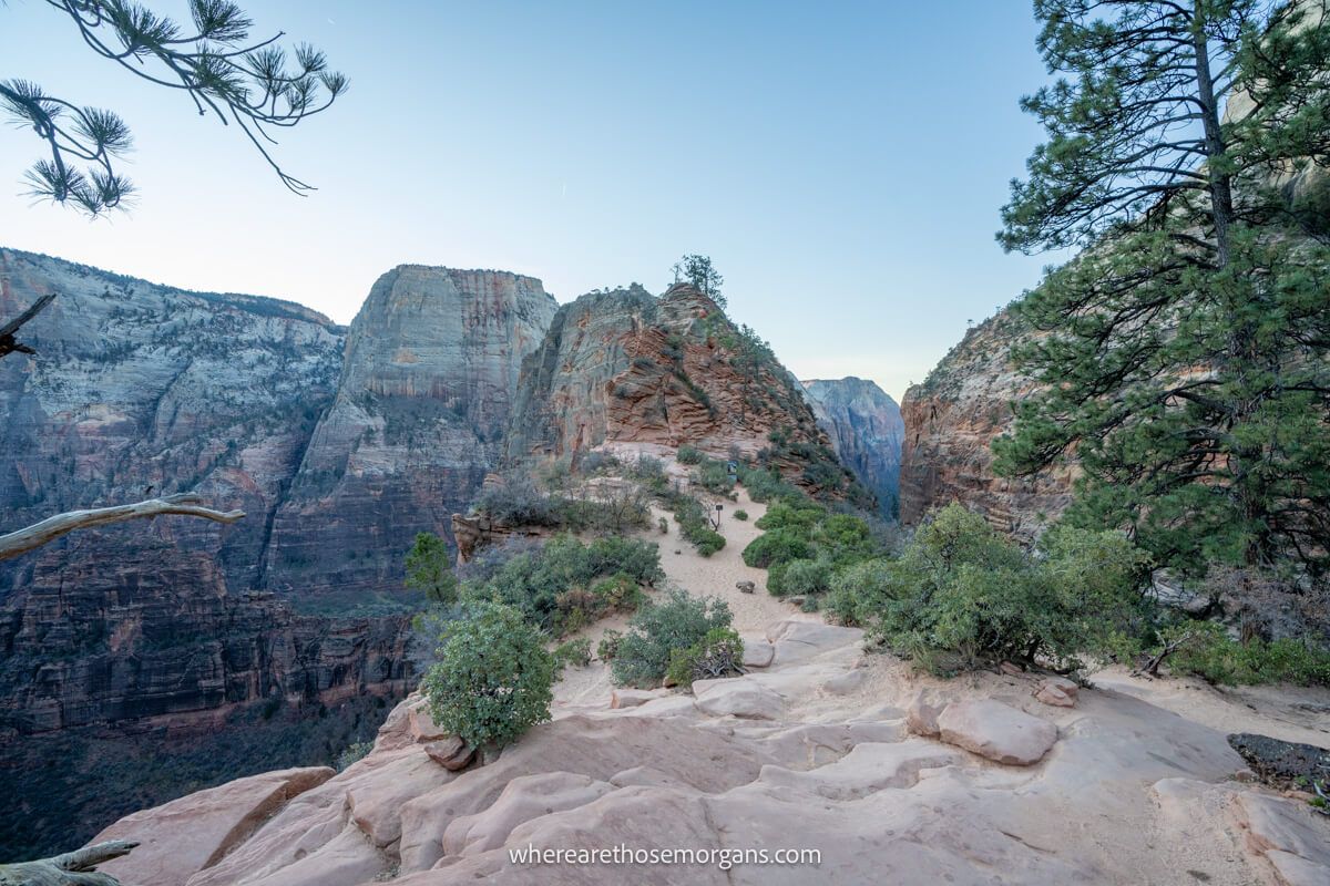 Photo of a flat and sandy plateau with trees leading to a steep climb in a huge canyon with drops to the valley below