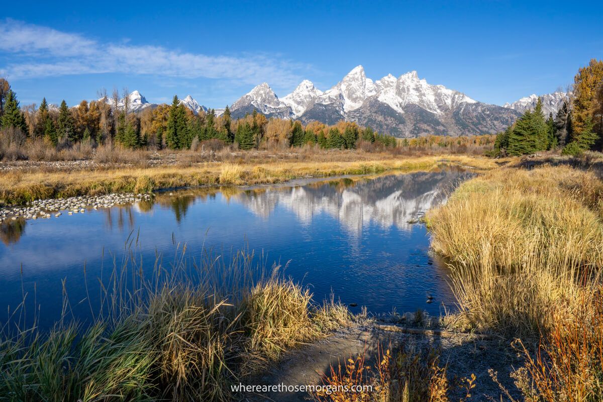 Snow capped mountains in the distance reflecting in a still river flanked by fields full of vegetation and trees