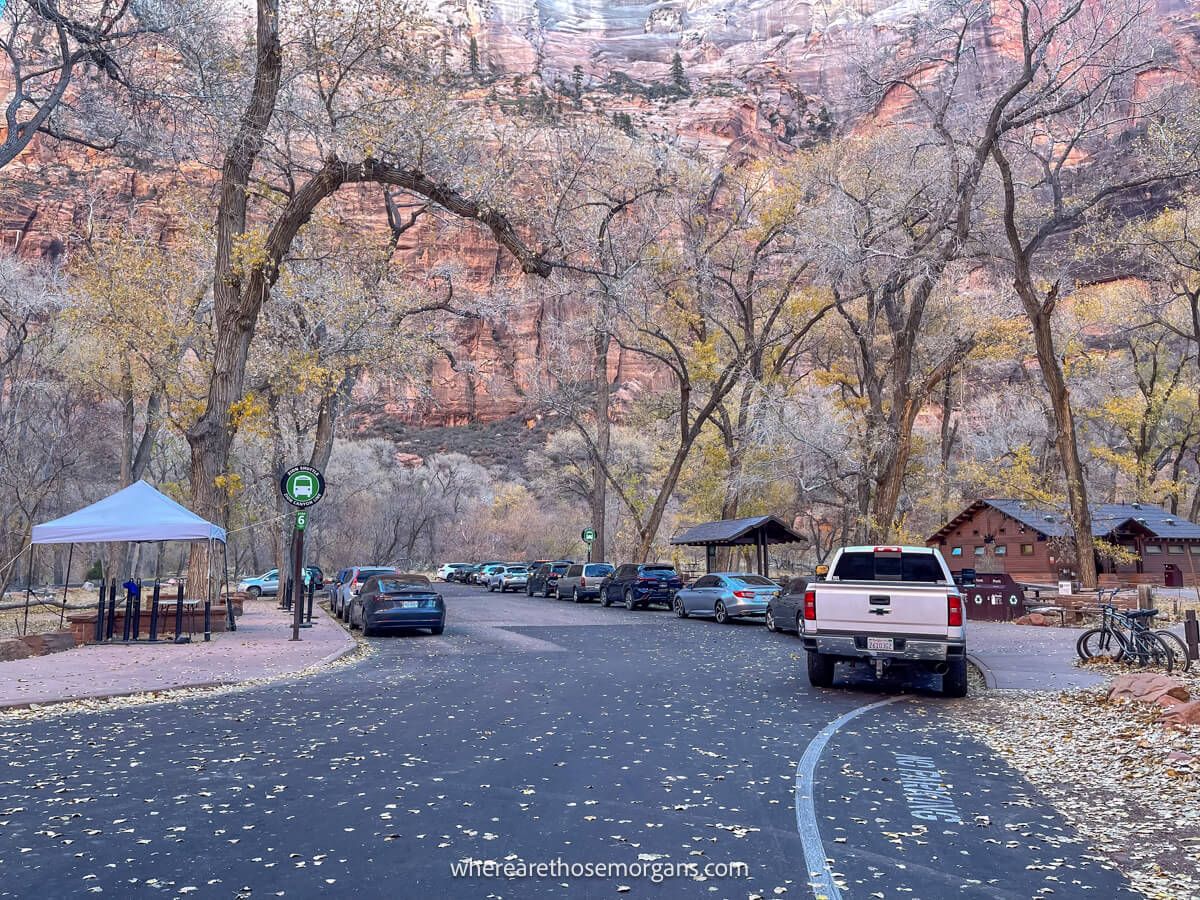 Cars parked at the Grotto parking lot in Zion in December when cars are allowed into the canyon, surrounded by lots of trees and canyon walls