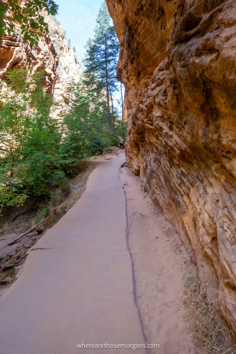 Narrow path next to a tall canyon wall with trees on a clear sunny day