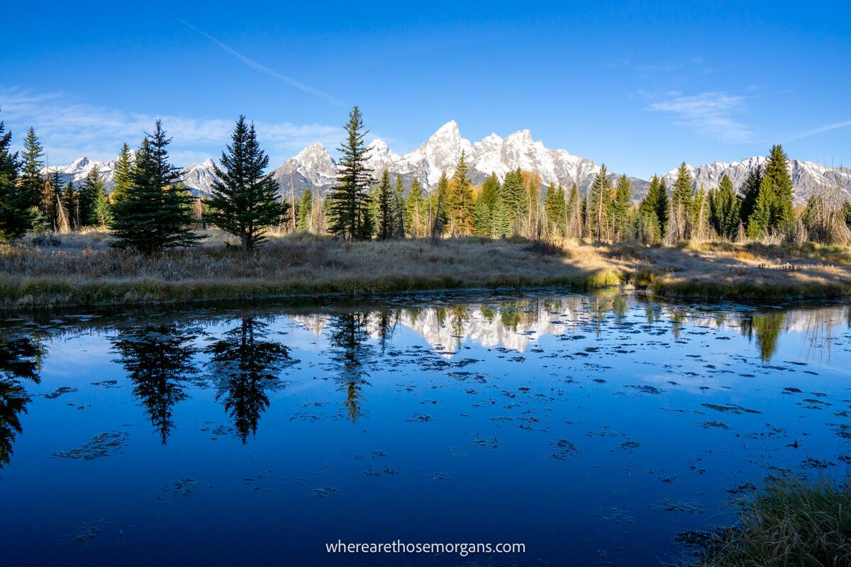 Photo of a river in shadow with trees and snow capped mountains on the other side lit up by the morning sun