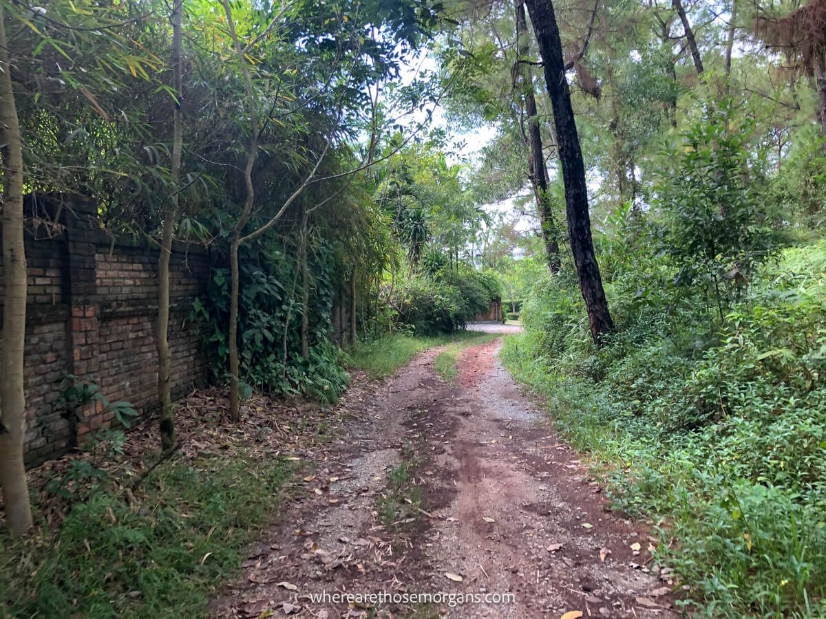 A section of a dirt pathway next to a large brick wall in a forest