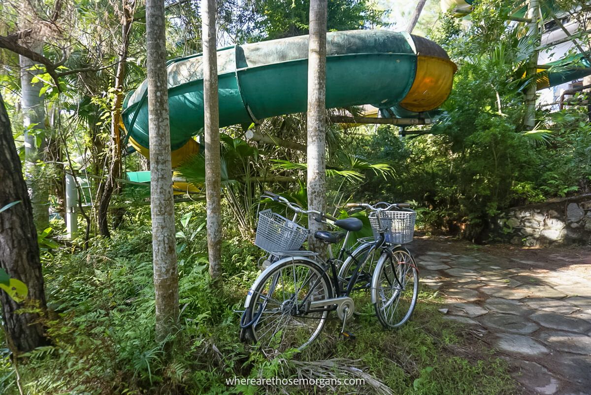 Bikes secured to a tree with a waterslide in the background