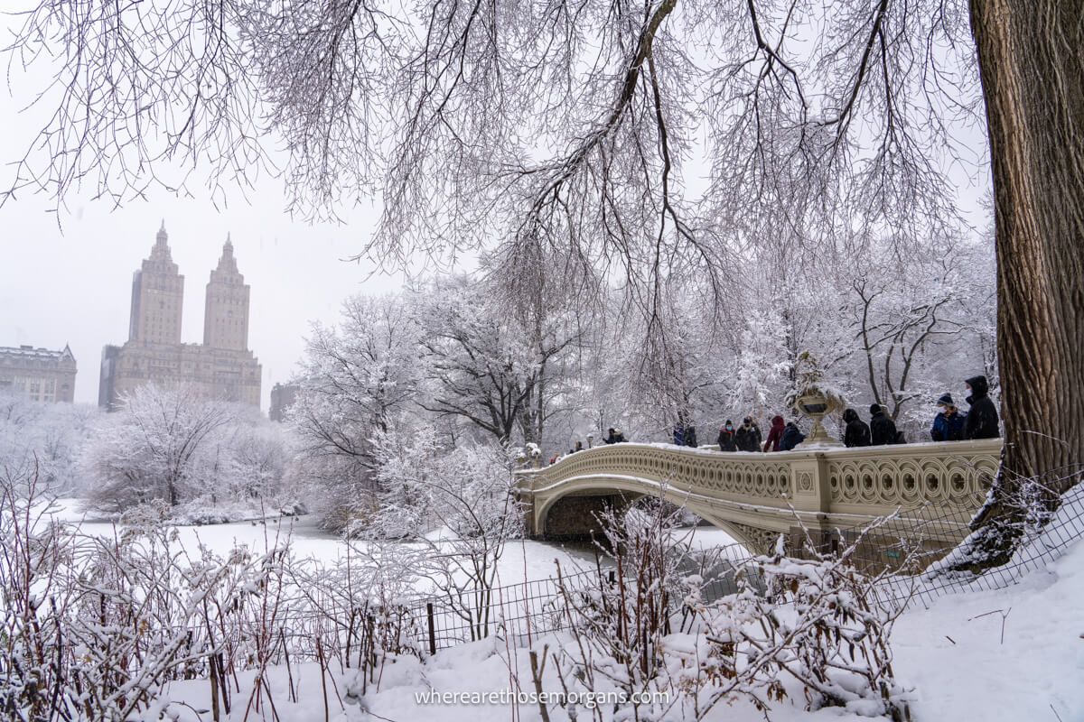 Photo of a small ornate bridge next to a tree crossing a frozen lake in Central Park in the winter with distant views of a building shrouded in clouds
