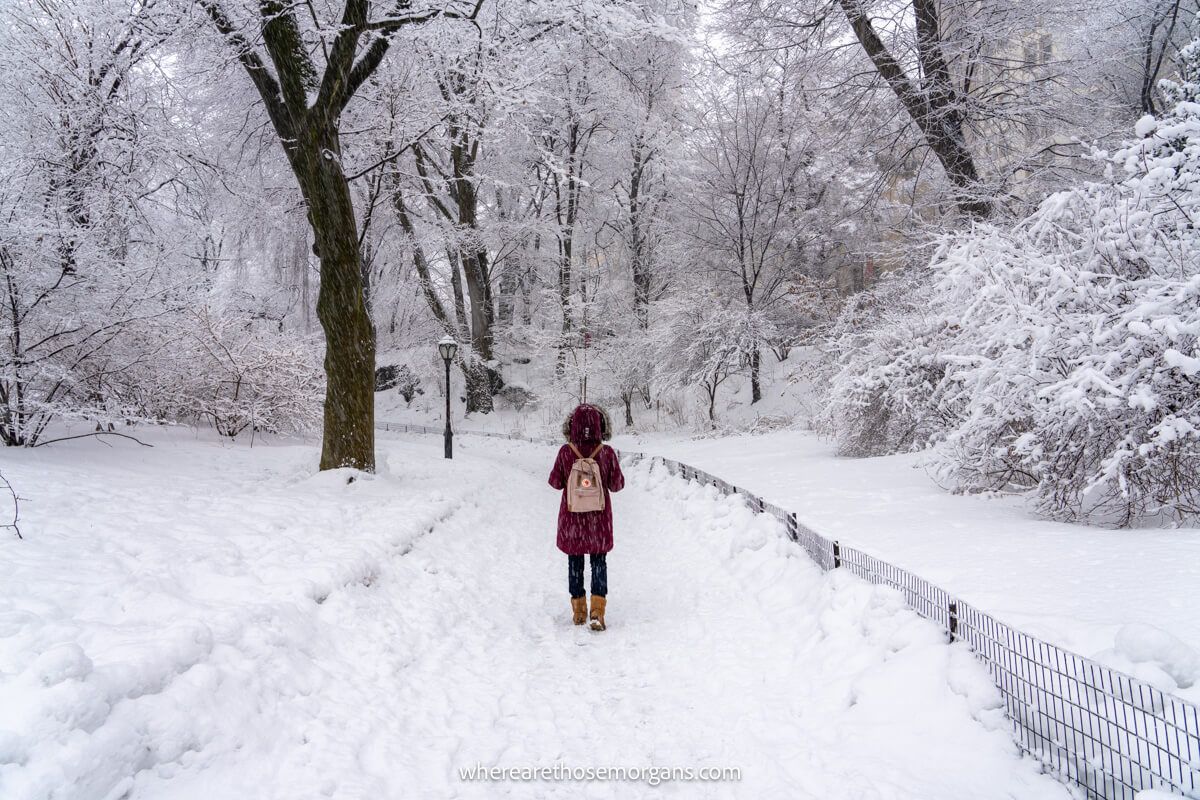 Photo of a tourist in winter coat walking along a snowy path with bare trees in Central Park NYC