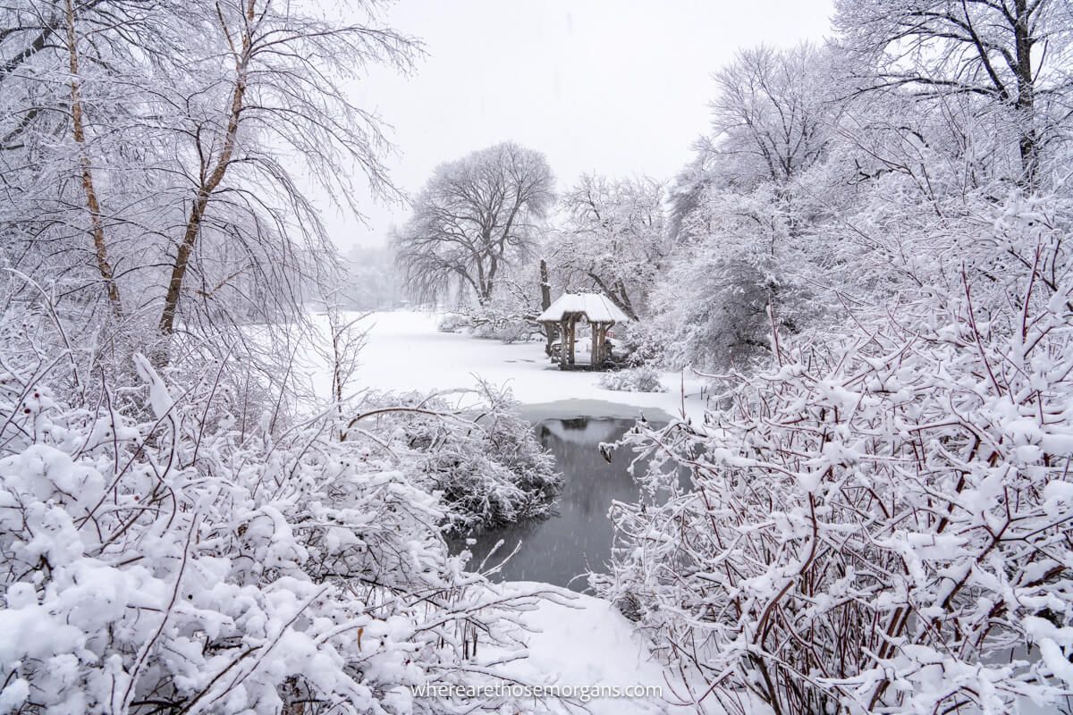 Photo of a small wooden hut across a frozen pond with snow covered bushes and clouds